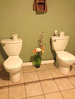 two toilets